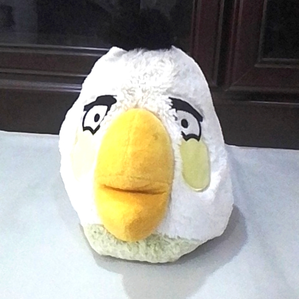 Angry BIRDS